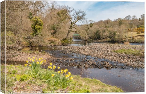 Balder Tees Confluence at Cotherstone, Teesdale (1) Canvas Print by Richard Laidler
