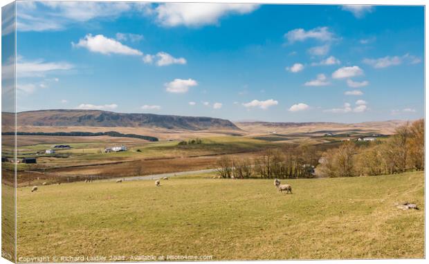 Towards Cronkley Scar from Forest in Teesdale (3) Canvas Print by Richard Laidler
