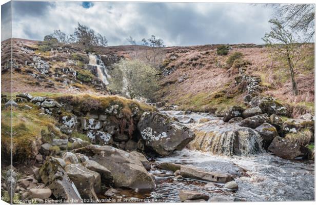 Blea Beck Force, Teesdale (1) Canvas Print by Richard Laidler