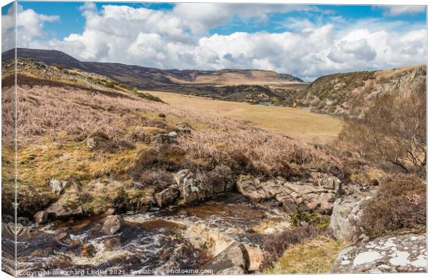 Blea Beck, Cronkley Fell and Scar, Teesdale Canvas Print by Richard Laidler