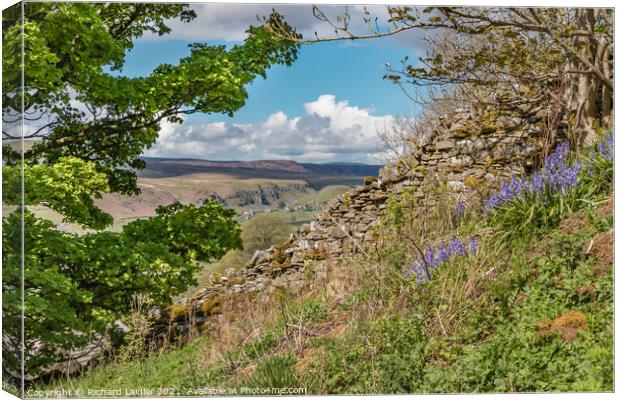 Over to Holwick, Teesdale from Stoney Gill Head in Spring Canvas Print by Richard Laidler