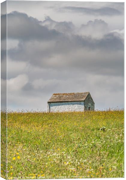 Barn in a Hay Meadow Canvas Print by Richard Laidler