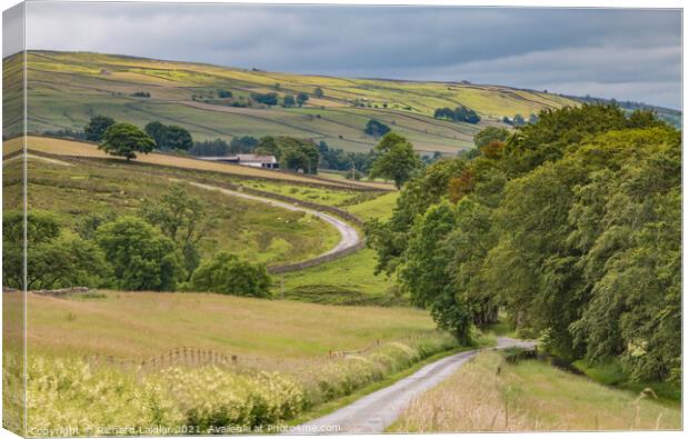 Towards Newbiggin from Ettersgill, Teesdale Canvas Print by Richard Laidler