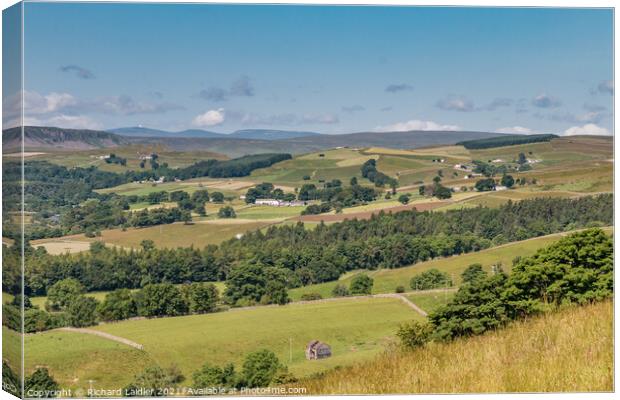 Across to Ettersgill from Stable Edge, Teesdale in Summer Canvas Print by Richard Laidler