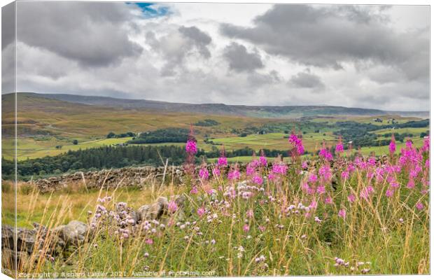 A Shower Arrives at Stable Edge, Teesdale Canvas Print by Richard Laidler