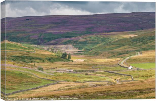 Great Eggleshope, Teesdale Canvas Print by Richard Laidler