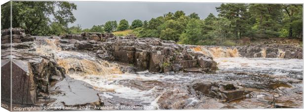 River Tees at Low Force, Teesdale, in late summer, Panorama Canvas Print by Richard Laidler