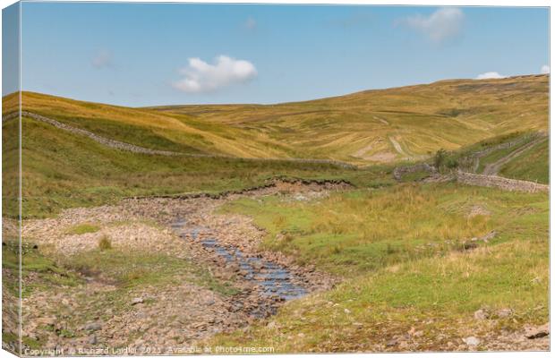 Spitley Tongue, Harwood, Upper Teesdale Canvas Print by Richard Laidler
