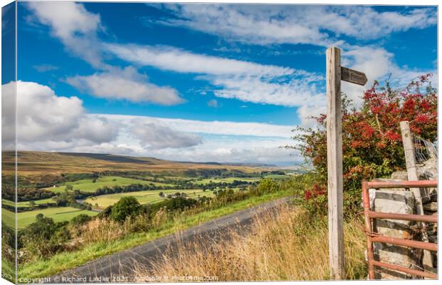 Towards Holwick from Middle Side Canvas Print by Richard Laidler
