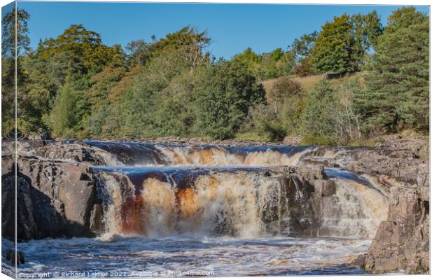 Low Force Waterfall, Teesdale in October Sunshine Canvas Print by Richard Laidler