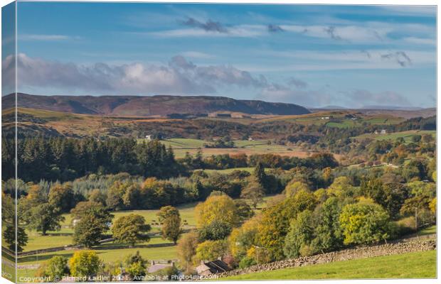 Teesdale in Autumn - Newbiggin to Cronkley Scar Canvas Print by Richard Laidler