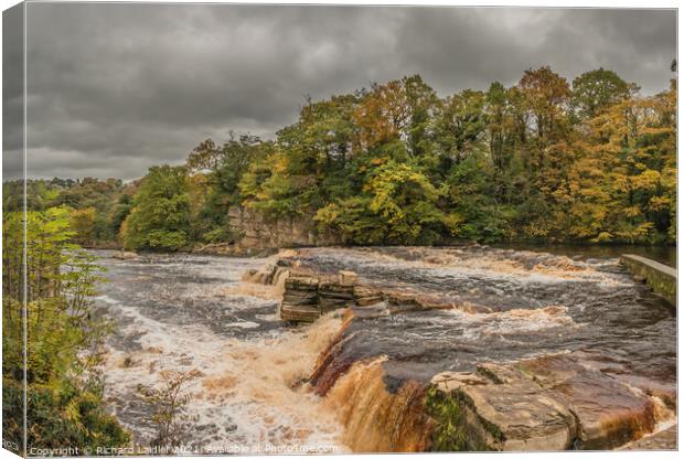 Fall at the Falls (2) Canvas Print by Richard Laidler