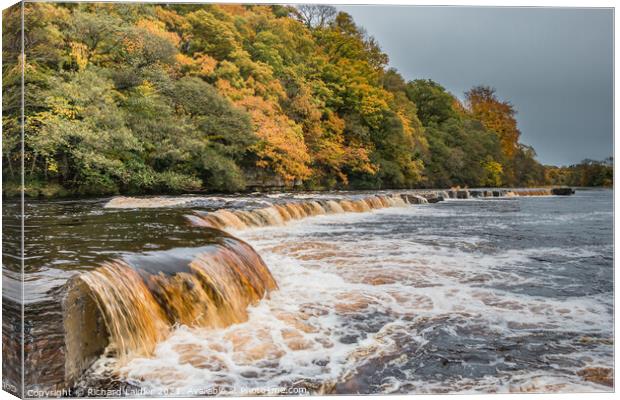 Autumn on the Tees at Whorlton, Teesdale Canvas Print by Richard Laidler