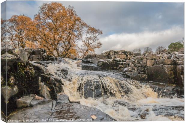 Autumn Brightness at Low Force Waterfall (3) Canvas Print by Richard Laidler
