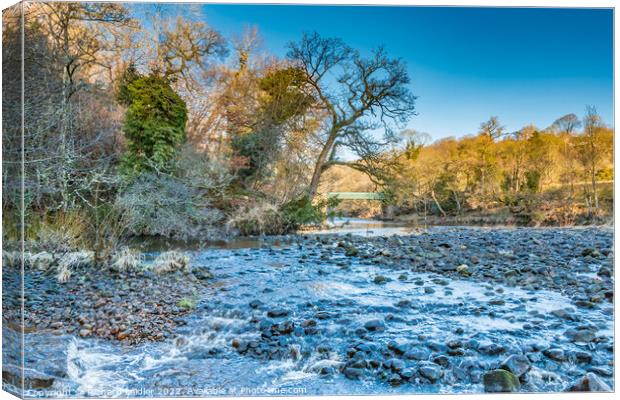 Balder Tees Confluence at Cotherstone, Teesdale (2) Canvas Print by Richard Laidler