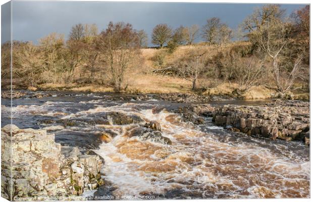 Bright Interval on the River Tees above Low Force Waterfall Canvas Print by Richard Laidler