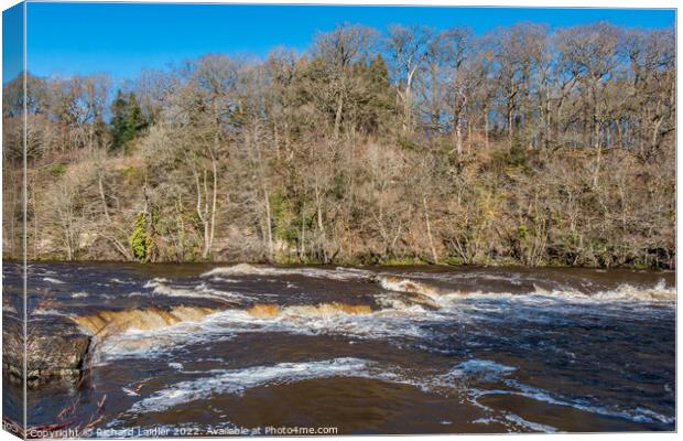 The River Tees at Whorlton in Strong  Winter Sunshine Canvas Print by Richard Laidler