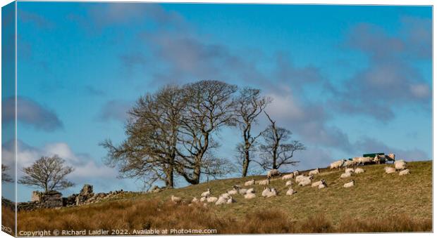 Toddyshaw Hill Mickleton, Teesdale Canvas Print by Richard Laidler