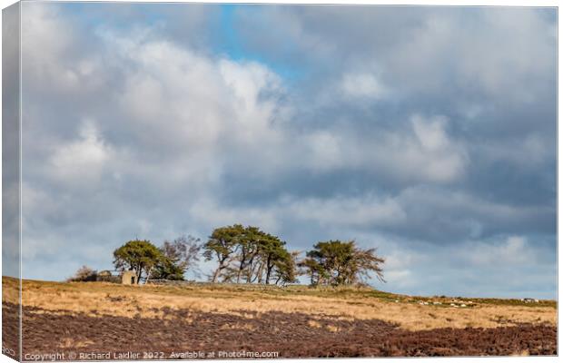 Scarney Hill, Romaldkirk Moor, Teesdale Canvas Print by Richard Laidler