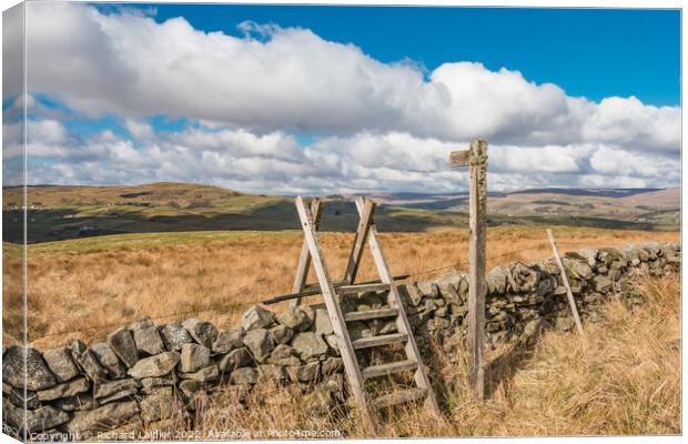 Fingerpost and Ladder Stile Canvas Print by Richard Laidler