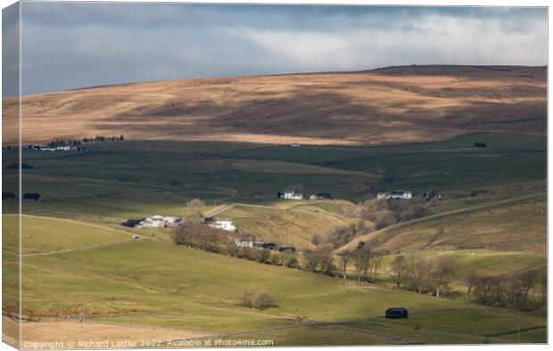 Ettersgill Farms from Holwick Fell, Teesdale Canvas Print by Richard Laidler
