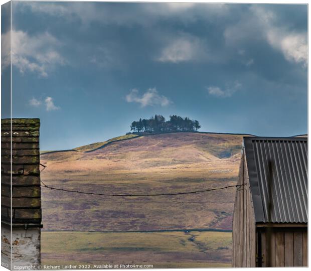 Kirkcarrion Between the Roofs Canvas Print by Richard Laidler