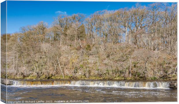 Whorlton Cascades from Downstream Canvas Print by Richard Laidler