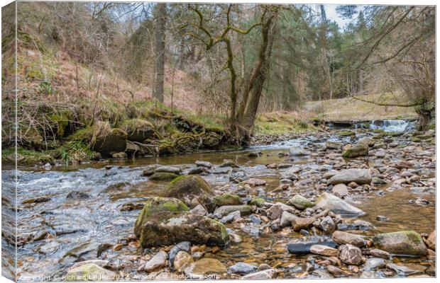 Hudeshope Beck near Middleton in Teesdale (1) Canvas Print by Richard Laidler