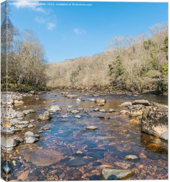 The River Tees at Cotherstone in Spring Canvas Print by Richard Laidler