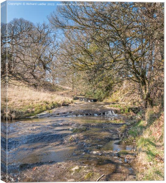 Wilden Beck, Cotherstone, Teesdale Canvas Print by Richard Laidler