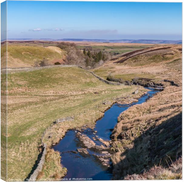 Over Trough Heads, Teesdale Canvas Print by Richard Laidler