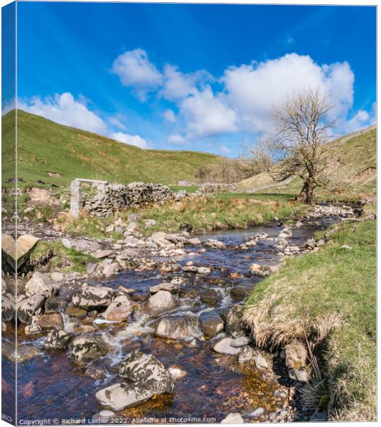 Ettersgill Beck at Birch Bush Farm, Teesdale (1) Canvas Print by Richard Laidler