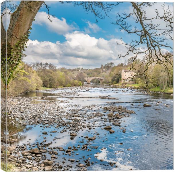Upstream to the County Bridge Barnard Castle, Teesdale Canvas Print by Richard Laidler