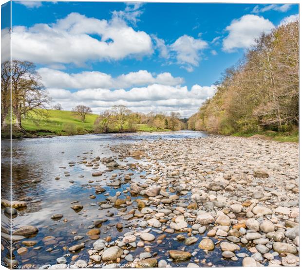 The River Tees Upstream from Silver Bridge, Barnard Castle Canvas Print by Richard Laidler