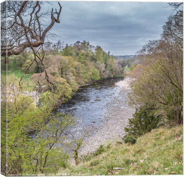 Towards Cotherstone from Cotherstone Crag, Teesdale Canvas Print by Richard Laidler