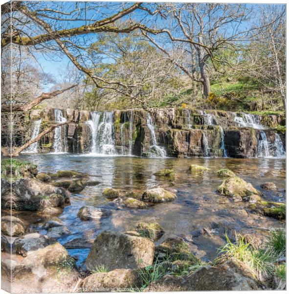 Orgate Force Waterfall in Spring Sunshine (2) Canvas Print by Richard Laidler