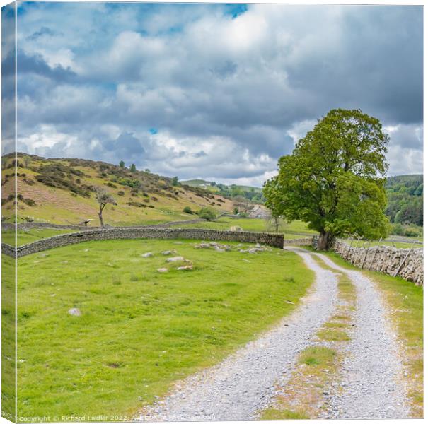 Towards Holwick Head, Teesdale Canvas Print by Richard Laidler