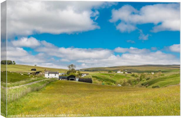 Summer Meadows in Ettersgill, Teesdale Canvas Print by Richard Laidler