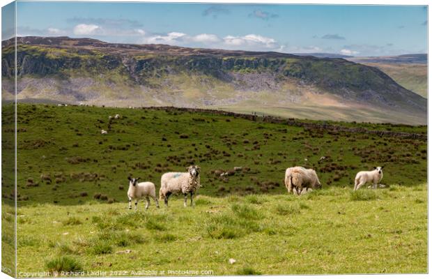Cronkley Scar from Wool Pits Hill, Teesdale Canvas Print by Richard Laidler