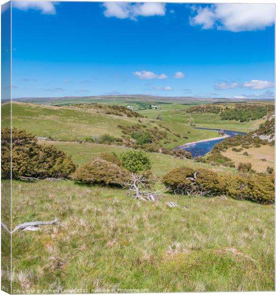 Towards Forest in Teesdale from Bracken Rigg on the Pennine Way Canvas Print by Richard Laidler