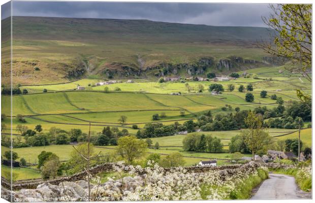 Holwick in the Spotlight from Miry Lane, Teesdale Canvas Print by Richard Laidler