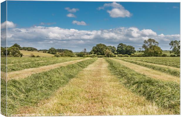 Haymaking at Hutton Magna (1) Canvas Print by Richard Laidler