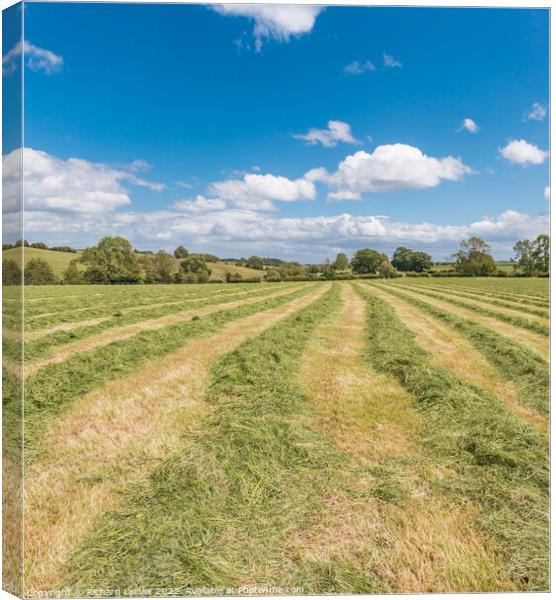 Haymaking at Hutton Magna (2) Canvas Print by Richard Laidler