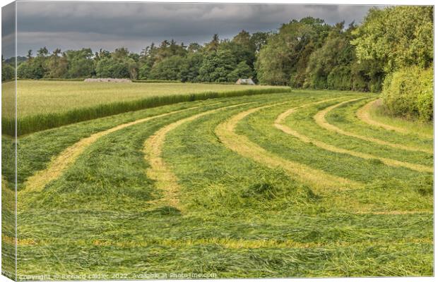 Freshly Cut Silage at Wycliffe (2) Canvas Print by Richard Laidler