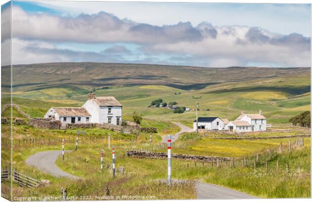 Honey Pot and Unthank Harwood, Teesdale Canvas Print by Richard Laidler