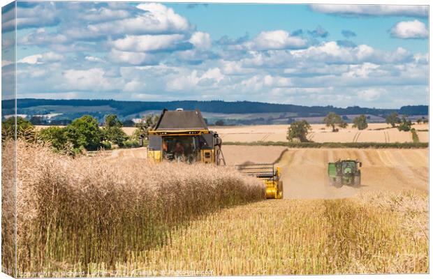 OSR Harvest at Foxberry Aug 2022 (4) Canvas Print by Richard Laidler