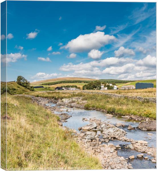 Intake Farm and Hunt Hall, Langdon Beck, Teesdale Canvas Print by Richard Laidler