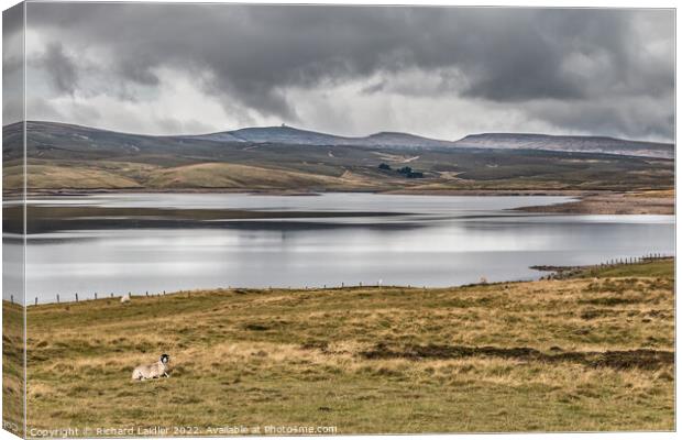Cow Green Reservoir and three Pennine peaks Canvas Print by Richard Laidler