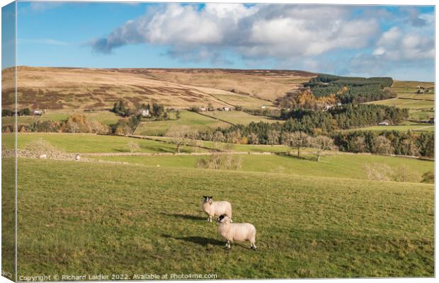 Snaisgill from Aukside, Teesdale Canvas Print by Richard Laidler