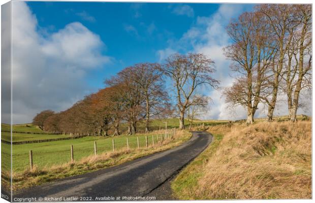 Up Into Ettersgill, Teesdale Canvas Print by Richard Laidler